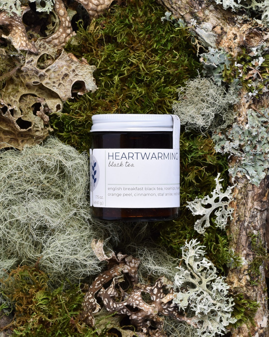 FreeWildShe Heartwarming Black Tea 20 servings sits on moss & lichen.