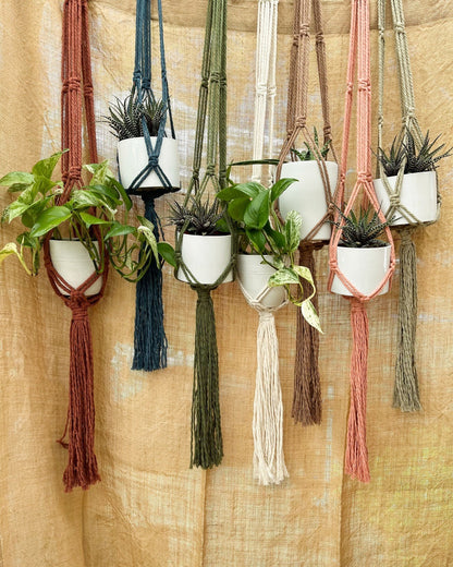 FreeWildShe Ayla Macrame Plant Hangers in each of the seven colors hang in front of a burlap curtain. There is a plant in a white pot in each hanger.