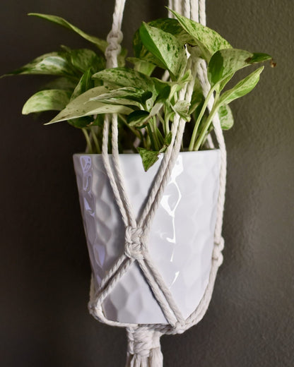 A detailed, close-up of FreeWildShe Ayla Macrame Plant Hanger. The focus is on the knots that form the basket portion of the planter which holds a white pot and pothos plant.