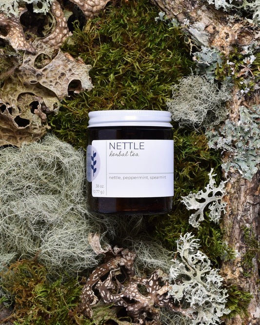 FreeWildShe Nettle Tea 20 servings 
sits on moss & lichen.